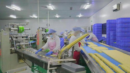 河北邯郸市2021年招商引资考核结果出炉 邱县名列第一