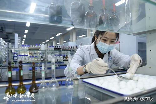 安徽合肥 舌尖上的检测 为元宵节 保驾护航 组图