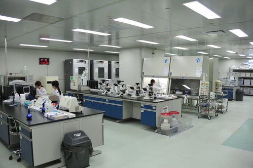 企业 拔节开花 兰州战略性新兴产业占比不断提高