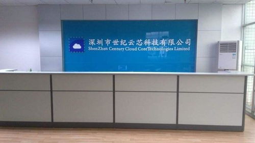 深圳市世纪云芯科技